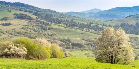 Spring Landscape In The Carpathian Mountains With Fence Stock Photo