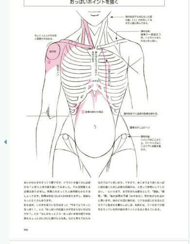 How To Draw Breasts Manga Anime Technique Improvement Book Japan Doujinshi Ebay