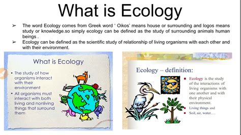 Introduction To Environment Ecology Ecosystem Gambaran
