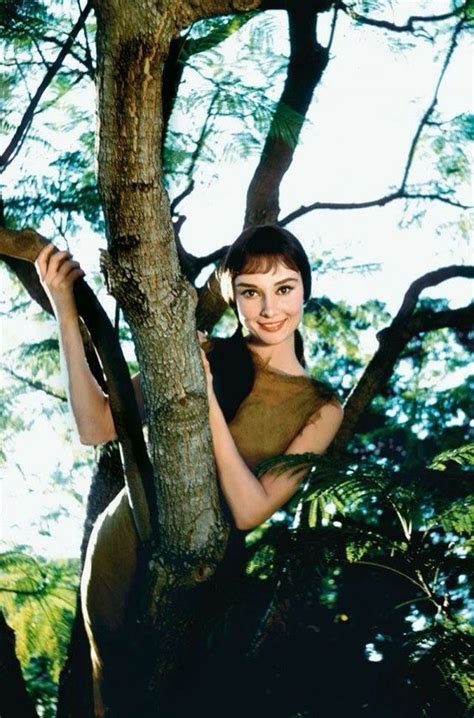 Audrey Hepburn Green Mansions Classic Movies Photo 41678558 Fanpop