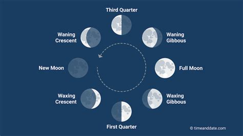 Quarter Moon Or A Half Moon Moon Phases Earthsky
