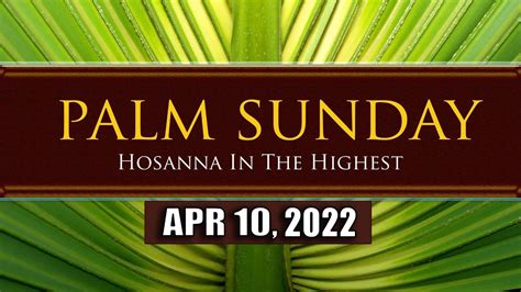 Holy Mass 10042022 Palm Sunday Passion Sunday Youtube