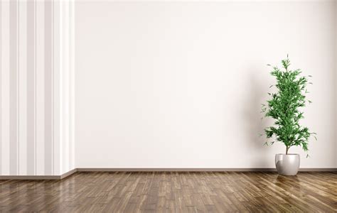 Interior Background Of Room With Plant 3d Rendering Stock Photo