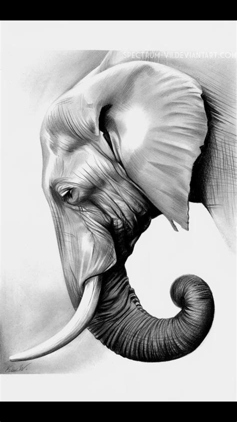 Como Dibujar Un Elefante Realista Con Lapiz Muy Fácil Y Paso A Paso