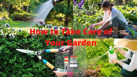 How To Take Care Of Your Garden Tips On How To Take Care Of Your