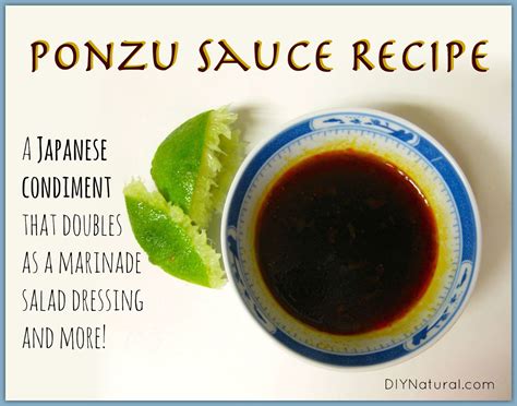 Ponzu Recipe Sauce Besto Blog