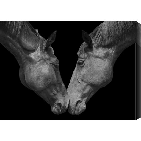 Gallery Direct Horse Love Photographic Print On Wrapped Canvas