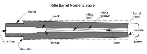 Back To Basics Rifle Barrels An Official Journal Of The Nra