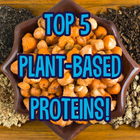 Top 5 Plant Based Sources Of Protein Brass Roots