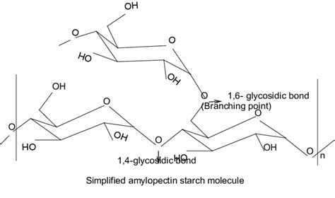 Structure Of Amylopectin Download Scientific Diagram