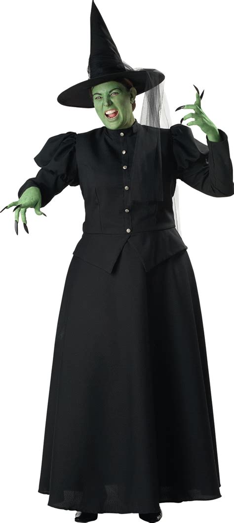 Womens Classic Plus Size Wicked Witch Complete Costume