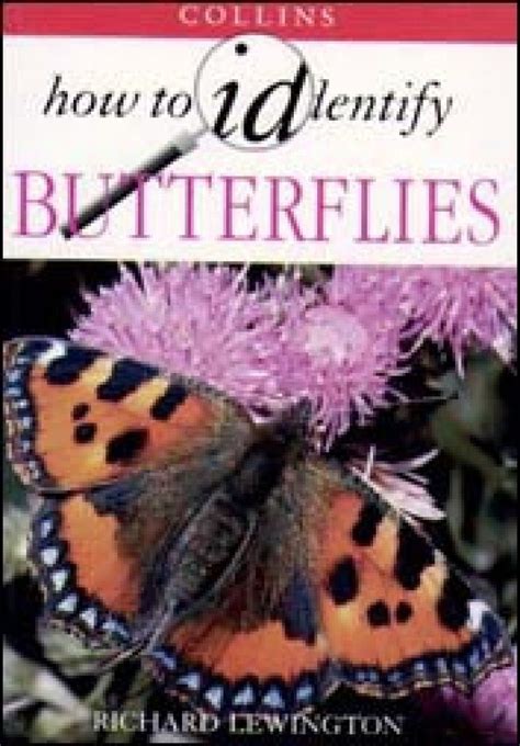 Collins How To Identify Butterflies Nhbs Field Guides And Natural History