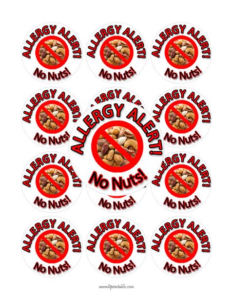 No Nuts Sticker Allergy Sticker Nut Allergy Sticker Allergy Etsy