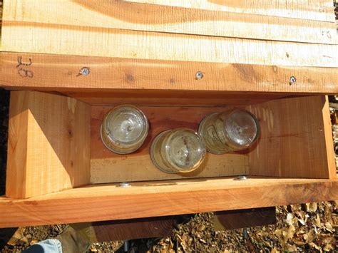 Maitri Homestead Diy Honey Bee Feeder For Top Bar Hives