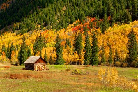 Cabin In Autumn Forest Wallpaper And Background Image 1600x1068