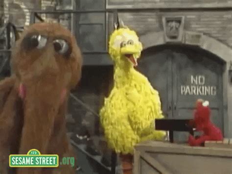Sesame Street GIFs Find Share On GIPHY