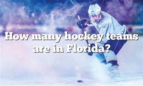 How Many Hockey Teams Are In Florida Dna Of Sports