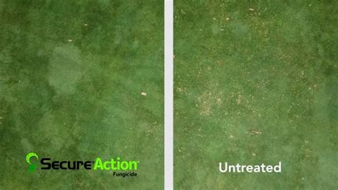 Turfgrass Fungicide Trials Presented By Syngenta Gcsaa Tv