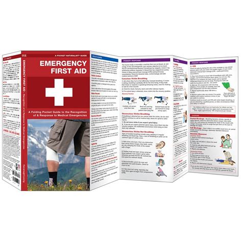Pocket Guide To First Aid Basics Emergency First Aid Guide Railriders