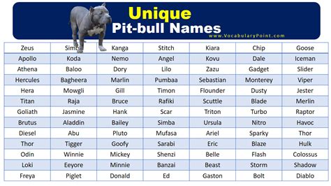 Best Unique Pitbull Names Vocabulary Point