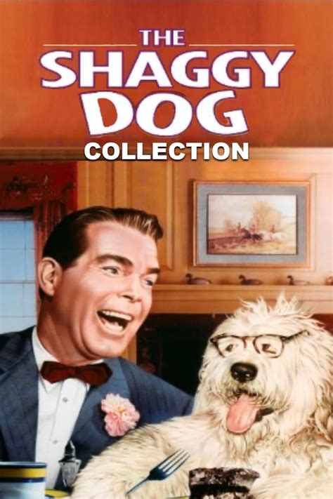 The Shaggy Dog Collection Posters — The Movie Database Tmdb