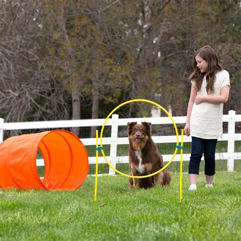 Outward Hound Zipzoom Outdoor Dog Agility Training For Dogs See This