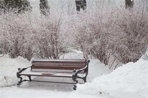 Snow Covered Bench In City Park Stock Image Image Of European Bench