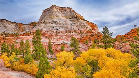 Fall Colours In Zion National Park Utah Bing™ Wallpaper Gallery