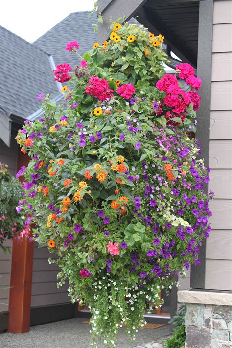 Shop for artificial hanging basket flowers online at target. HUGE hanging basket | Hanging flower baskets, Container ...