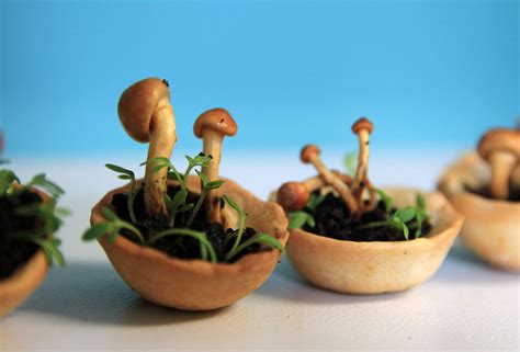 Printing food could also help people who suffer from dysphasia (a swallowing disorder). Enjoy Amazing 3D Printed Bio Food With Herbs And Mushrooms