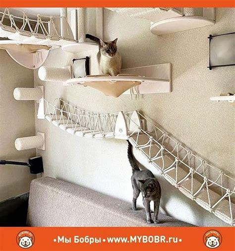 Ceiling Complex For Cats Etsy Dormitorio De Gato Muebles Para
