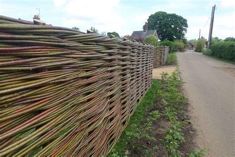 Burnham Willow Specialists In Woven Willow Fencing