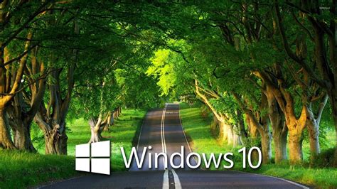 Sfondi Hd Per Windows 10 1920x1080paesaggio Naturalenaturaverde