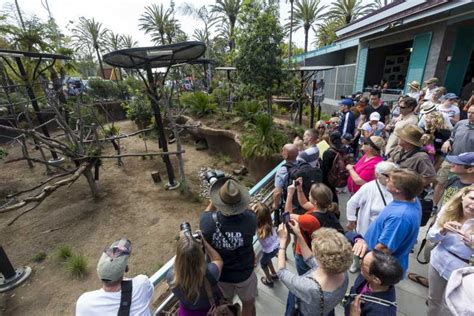San Diego Zoo 1 Day Admission Ticket Getyourguide