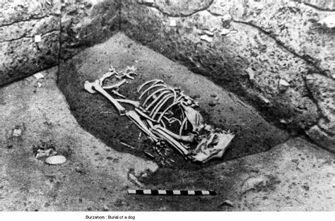 There were steps leading to the bottom level. Earliest Setlers of Kashmir