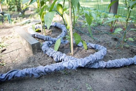 The end of hose should be covered by a cap that screws on to the pipe to attach the hose. Don't Throw It Away: 8 Creative Ways to Reuse an Old ...