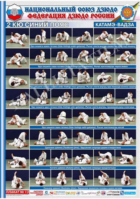 Posters Judo Blue Belt 1 Posterthe Technique Of Judokatame Waza