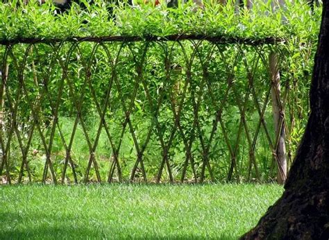4 beautiful living willow fence designs