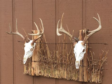 Fence Post Double European Mount Deer Mounts Deer Hunting Decor