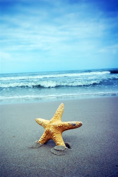 Wallpapers Pinterest