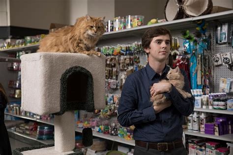 A young surgeon with autism and savant syndrome relocates from a quiet country life to join a prestigious hospital's scroll down and click to choose episode/server you want to watch. The Good Doctor Season 2 Episode 7 Photos: "Hubert" Cast ...
