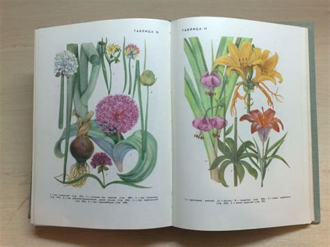 Botanical Book Medicinal Herbs Vintage Book Medicinal Plants Etsy