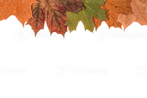 Autumn Leaf Frame 11033478 Png