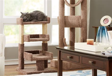 Big Sale Cat Trees And Cozy Beds Youll Love In 2022 Wayfair