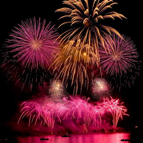 Feux Dartifices Fireworks Dandelion Animation Flowers Plants Mood