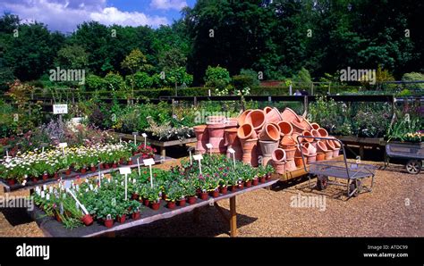 The Walled Garden Benhall Suffolk Stock Photo Alamy