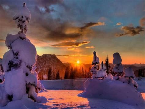 Snowy Morning Beautiful Places Pinterest