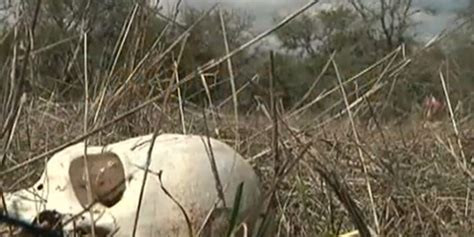 Decomposing Bodies Cover Texas Farm In The Name Of Science Fox News