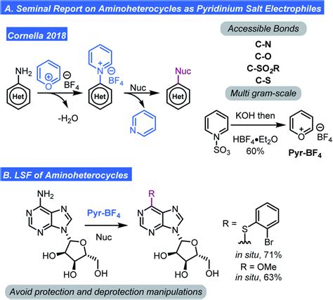 Late Stage CH Functionalization Via Chalcogen And Pnictogen Salts