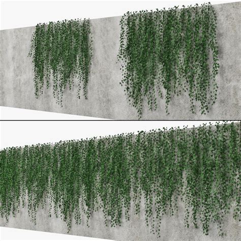 Ivy Wall 09 3d Model Cgtrader